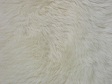 White Fur Texture (2).jpg